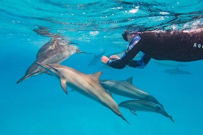 Marsa Alam